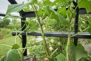 Schap Blockley 148, geïntegreerd, zwart gecoat
